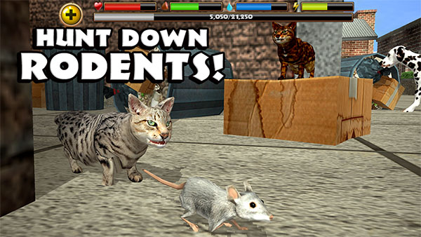 StrayCatSim截图1