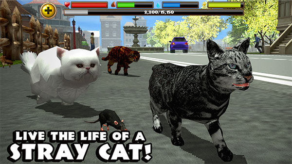 StrayCatSim截图2