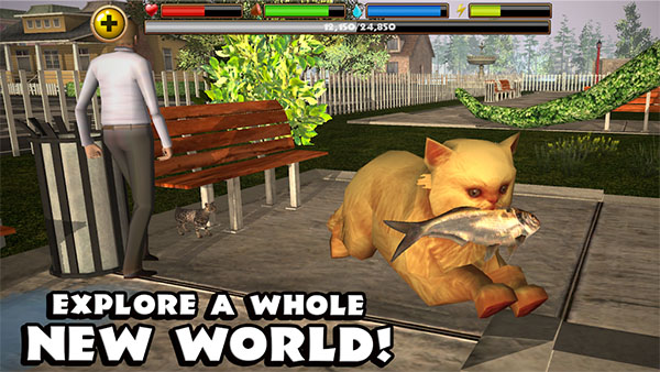 StrayCatSim截图4
