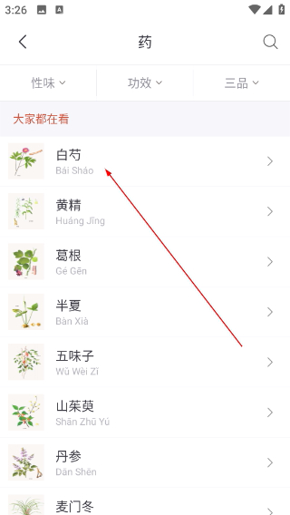 大家中医