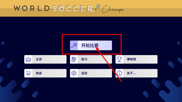 世界足球冠军