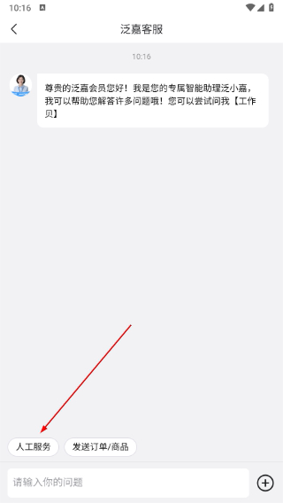 泛嘉行