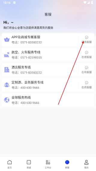 泛嘉行