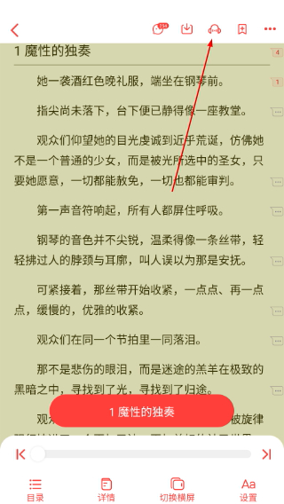 菠萝包轻小说
