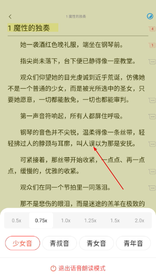 菠萝包轻小说