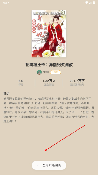 辰思小说
