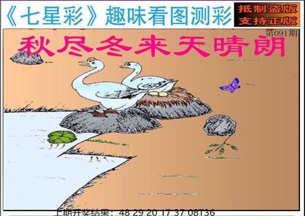 澳门彩
