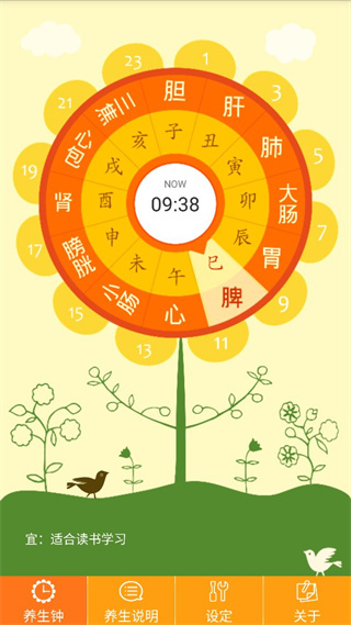 养生钟截图5