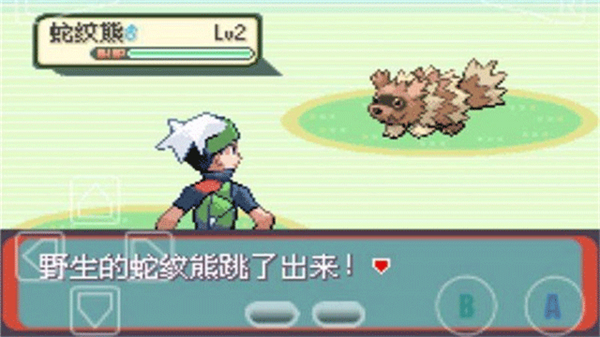 精灵宝可梦绿宝石截图4