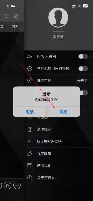 清风DJ车机版免费下载