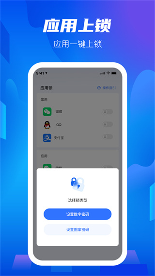 隐私盾截图1