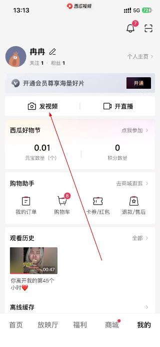 西瓜视频电视版