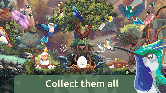 Bird Kind截图2