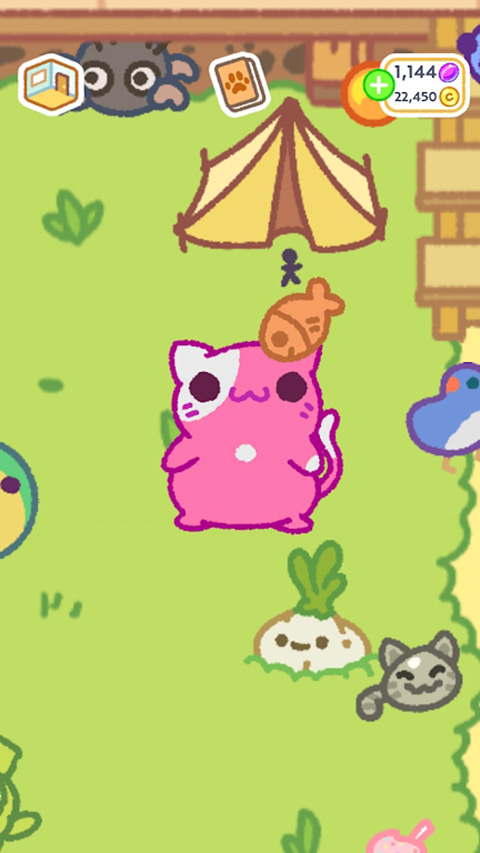 Klep2Cats截图5