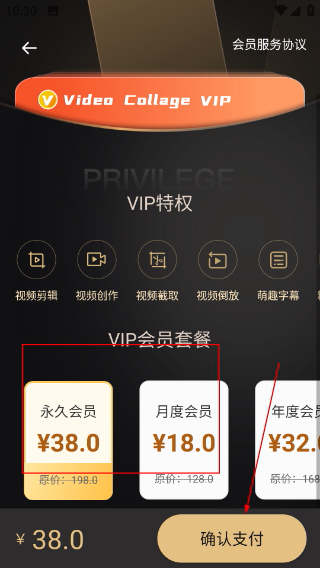 Video Collage官方版下载