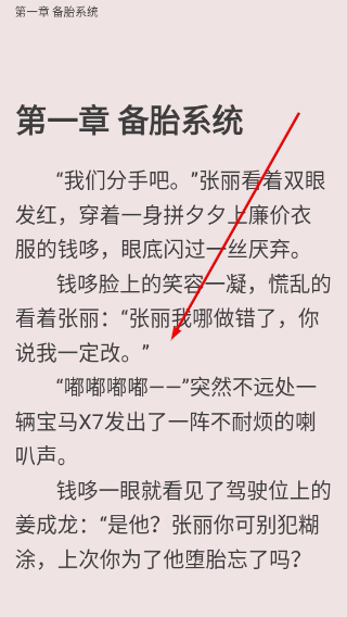 木瓜小说