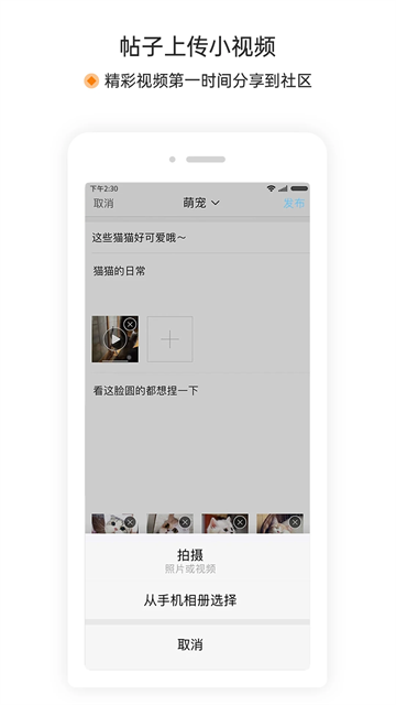 萧内网截图2