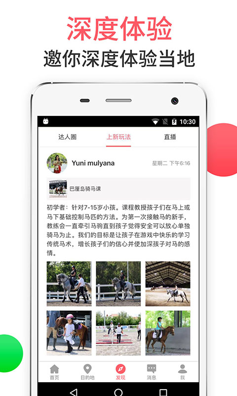 8只小猪截图5