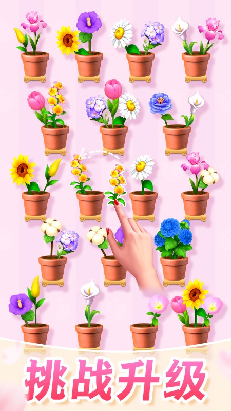 插花消除截图2