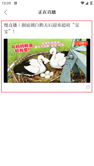 新湖南
