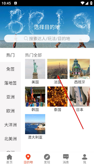 8只小猪