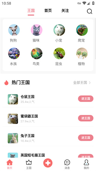宠物王国