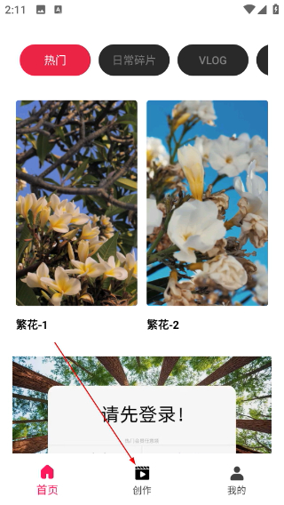 tipss外国版