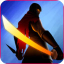 Ninja Raiden Revenge