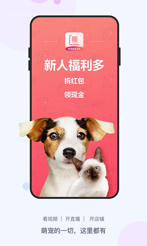 龙平台影视截图1