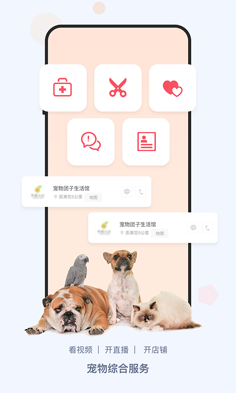 龙平台影视截图2