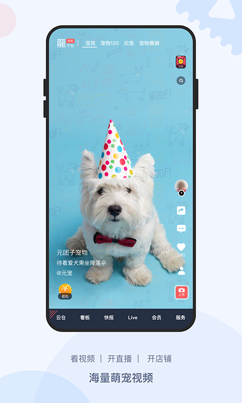 龙平台影视截图3