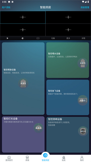 爱鸽者