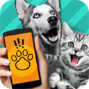 Pet Translator(动物语言翻译器)