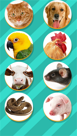 Pet Translator(动物语言翻译器)截图1