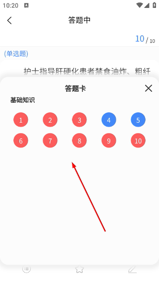 南丁园