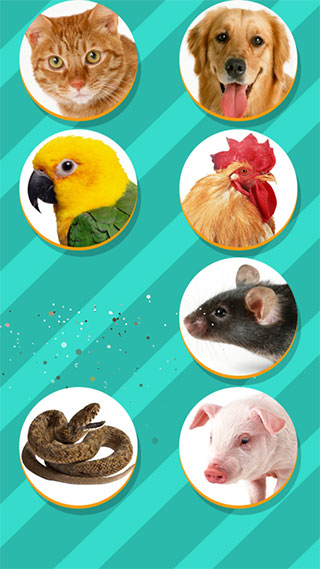 Pet Translator(动物语言翻译器)