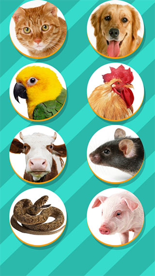 Pet Translator(动物语言翻译器)