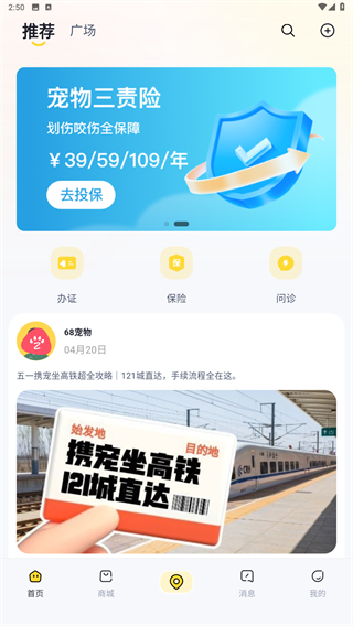 68宠物
