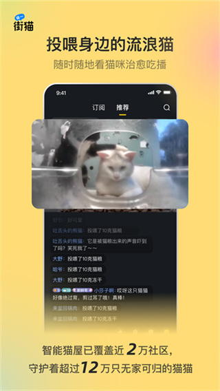 街猫截图3