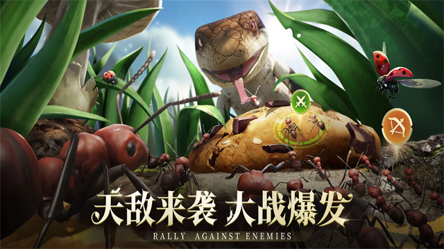 The Ants截图2