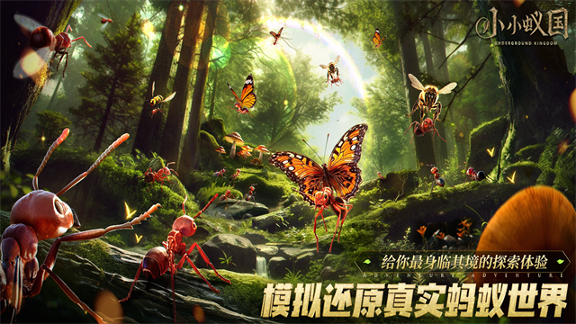 The Ants截图4