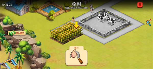 动物农场生活