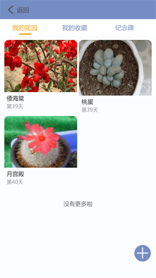 东篱花草截图1