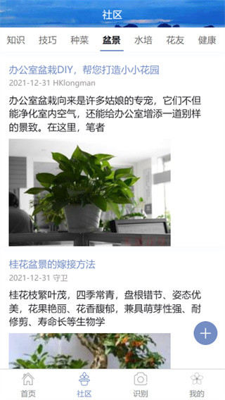 东篱花草截图5