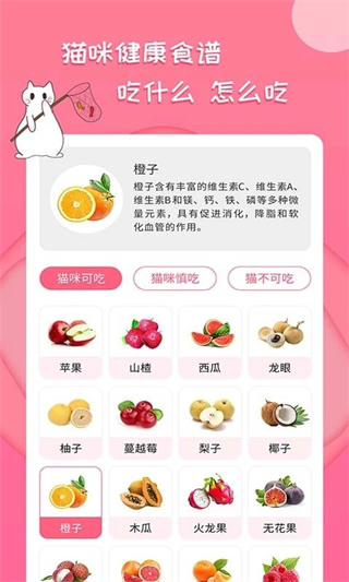 人猫翻译神器截图5