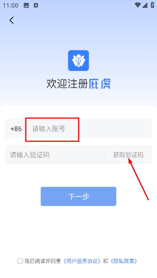 庇虎