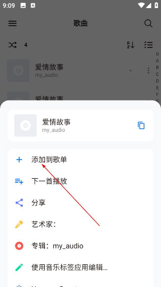 Salt Player最新版