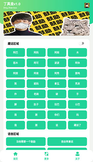 丁真盒app截图4