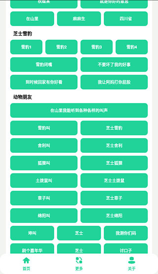 丁真盒app