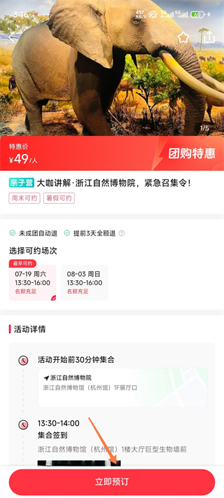 彩贝壳